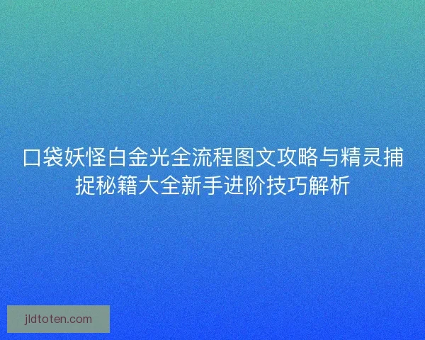 口袋妖怪白金光全流程图文攻略与精灵捕捉秘籍大全新手进阶技巧解析